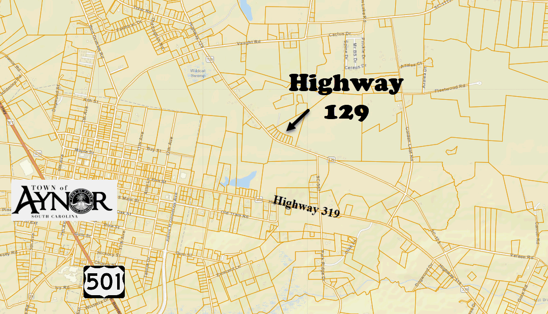 Highway 129 new home community in Aynor