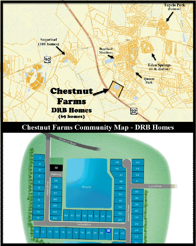 Chestnut Farms in Longs by DRB Homes
