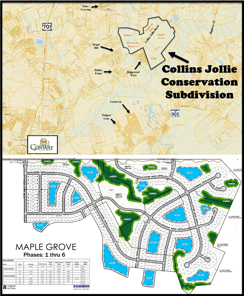 Maple Grove in the Conway Collins Jollie Conservation Subdivision by D. R. Horton