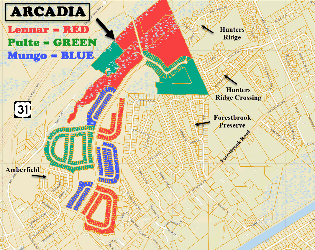 New homes in Arcadia in Forestbrook