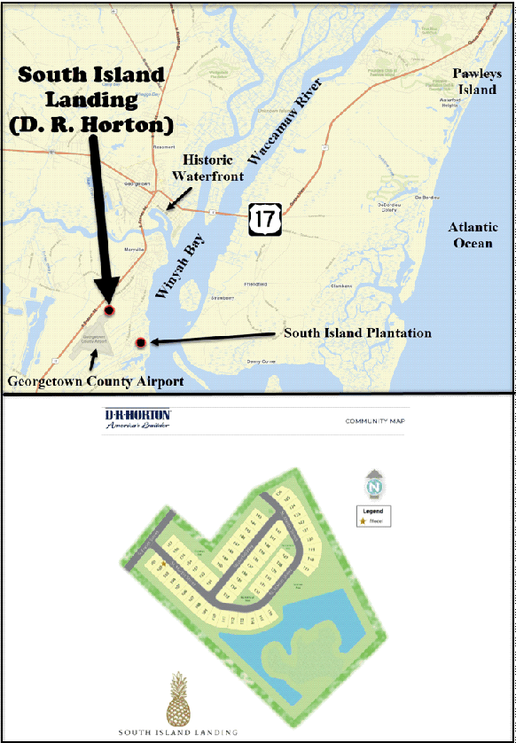 South Island Landing in Georgetown by D. R. Horton